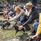 45th Annual Hermann Wurstfest Wiener Dog Derby - Hermann City Park RV Campgrounds, 118 13th St Event Image