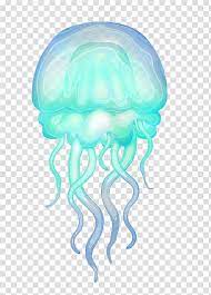 Rhizostomae Hydrozoa Aquatic Animal Box Jellyfish Others Transparent Background Png Clipart Transparent Background Aquatic Animals Free Clip Art