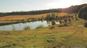 According to legend, this monastery was built by jelena štiljanović, the widows of the last srbian despot stefan štiljanović, who's. Petkovica Monastery Monasteries Locations Fruska Gora Serbia
