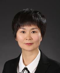 清华大学皇甫丽英--中文主页--科学研究