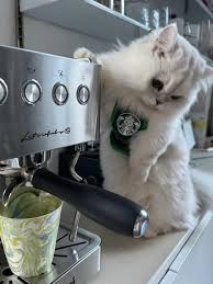 saw this and called my dad immediately 🥺