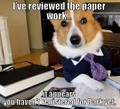 Bark For Life Committee Dog Memes Funny Animal Pictures Funny Animal Memes