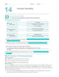 From what is a karyotype made? Chapter14worksheets