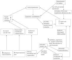 Non Selective Beta Blockers In Cirrhosis Current Concepts