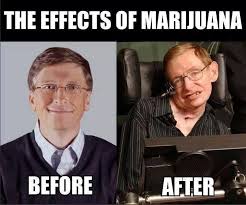 Marijuana Is Bad Mkay Imgur