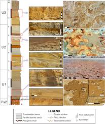 Misteri jam 12 adalah sebuah channel youtube yang telah muncul sejak tahun 2014. Tracking Late Pleistocene Neandertals On The Iberian Coast Scientific Reports