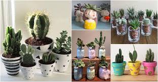 Gambar rumah minimalis di atas sebenarnya terbelah menjadi dua bagian. 11 Gambar Pokok Kaktus Sebagai Flora Hiasan Rumah Cantik Mudah Dijaga Ilham Dekorasi