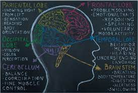 I would definately chk into an mri of his brain. Behaviour And Personality Change Brainstrust Brain Tumour Charity