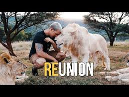 There is a lot of exciting and exclusive content to come! Dean Schneider Reunion Of Nayla The Queen Pwg Petworldglobal Com