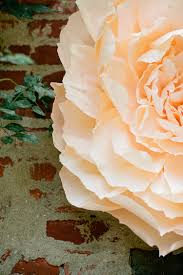 We did not find results for: Giant Paper Peony Paper Peony Nursery Wall Decor Large Crepe Peony Crepe Paper Flowers Triple Stem Home And Event Decoration Accessories Weddings Valresa Com