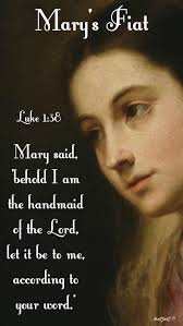 On The Annunciation And Mary S Fiat Saint Bernard 1090 1153 Mellifluous Doctoryou Have Heard O Virgin Th Mother Mary Quotes Blessed Mother Mary Mother Mary