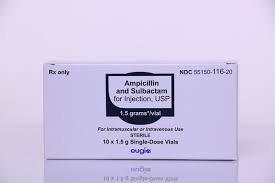 Image result for Ampicillin