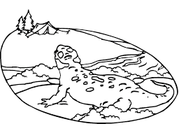There's something for everyone from beginners to the advanced. Free Printable Salamander Coloring Page Free Printable Coloring Pages For Kids