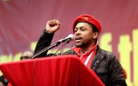 3 years ago3 years ago. Mbuyiseni Ndlozi Biography Age Wife Membership Net Worth