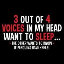 Image result for can't sleep funny meme