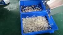 Corn Color Sorting and Grading Machine
