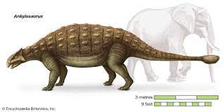 Ankylosaurus | Size, Diet, & Facts | Britannica