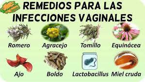 Remedios Con Plantas Medicinales Para Las Infecciones De La Vagina Botanical Online