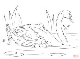 Feel free to print and color from the best 36+ swan lake coloring pages at getcolorings.com. Swans Coloring Pages Coloring Home