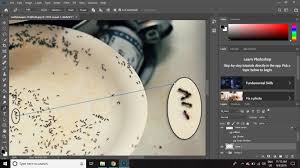 For example, you may be wondering how to draw a straight line in. Creating A Magnified Cutaway Detail View In Photoshop