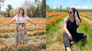 Situated in ruislip, victoria's flowers has a distinctive and ever changing selection of flowers, foliage and plants. This Ottawa Flower Farm Has A Pick Your Own Tulip Garden Narcity