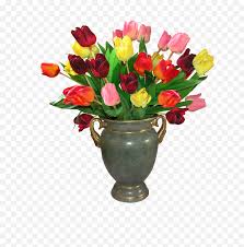 Holidaypng provides you with hq vase of flowers transparent images, icons, and vectors. Flower Plant Png Vase Of Flowers Png Free Transparent Png Images Pngaaa Com