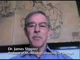 Sun.04_LMS_Shapiro-Chatterjee.mov