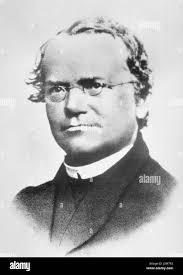 Gregör Black and White Stock Photos & Images