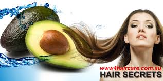 Unfortunately, there are currently no studies available directly looking at the effects of avocado oil on hair growth. Avocado Oil For Hair Growth Love In Sydney