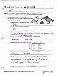 Mendel and basic genetics packet ws answers : Homozygous Or Heterozygous Worksheet Answers