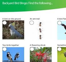 Resource Type River Detectives