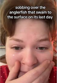 iris kessler (@iriskessler)