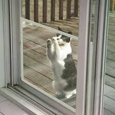 Check spelling or type a new query. China Heavy Duty Dog Screen Window And Door Protect Pets Bug Resistant China Pet Screen Dog Screen