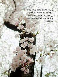 Pin By Sharmistha Conti On Gujarati Poems Gujarati Kavita Hindi Poetry Sayari For More Poems Follow My Facebook Page Sharmistha Beautiful Flowers Flowers Pretty Flowers