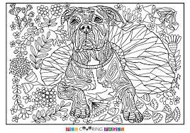 Here are 18 free coloring pages for adults (that means you!) to download. Pin On Pit Bull Pages