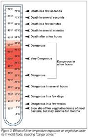 77 Prototypical Meat Temperature Cooking Chart In Celsius