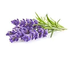Add mulch (rock or pea gravel work particularly well) to keep weeds to a minimum. Lavender Plant Pods Click Grow