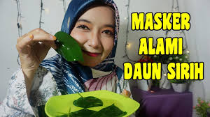 We did not find results for: Masker Alami Dan Murah Dari Daun Sirih Youtube