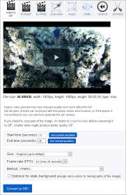 De nombreux outils existent, payants ou gratuits pour vous aider à convertir une vidéo mp4 en gif. Comment Creer Des Gif Sans Passer Par Photoshop Cnet France