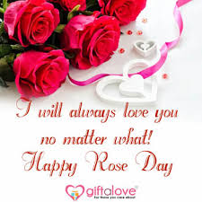 Check spelling or type a new query. 200 Happy Rose Day Quotes Best Rose Day Messages Wishes And Greetings