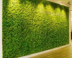 Residential Landscape Maintenance Dubai