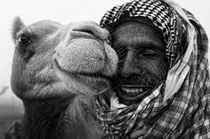 Soon women will be permitted to drive. Camel Beauty Contest
