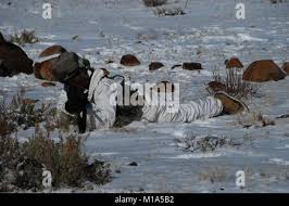 Jesus nava hi-res stock photography and images