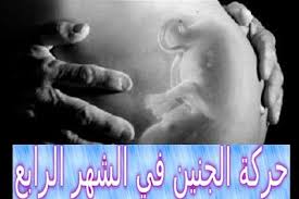 حركة الجنين في الشهر الرابع الذكر والأنثى Fetal Movement Movement Movie Posters