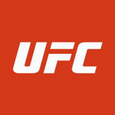 Exclusive dedicated crackstreams mma streams online. Crackstreams Ufc Ufc Crackstream In 2021 Ufc Fight Mma