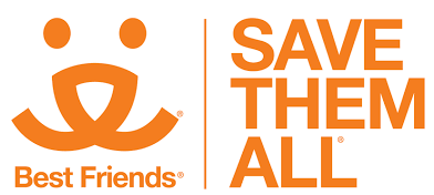 Best Friends Network