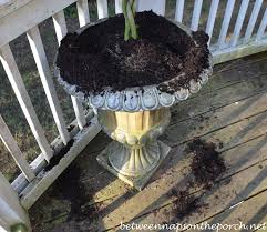 May 24, 2021 · keeping the garden clean can also discourage squirrels from gathering. How To Keep Squirrels Away From Flowers A Hungry Visitor Between Naps On The Porch