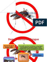 We hope this will help you in learning languages. Nyamuk In English