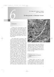 Image result for Campylostemon angolense