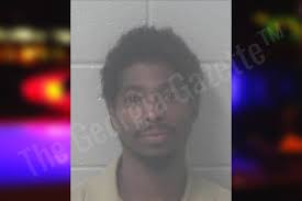 Troy Sutton — Newton County Jail Bookings